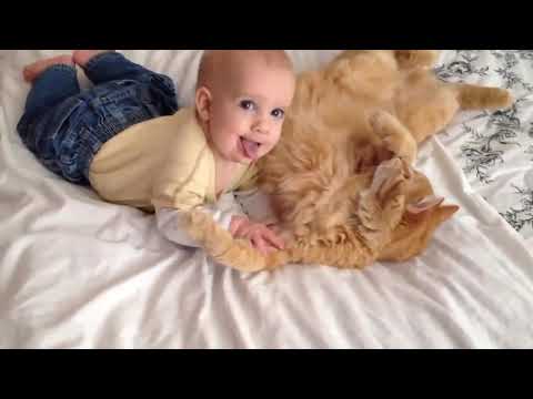 Cats Meeting Babies for the FIRST Time NEW Compilation 2020