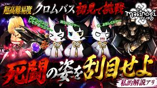 【マビノギ】超高難易度クロムバスイージー初見挑戦!!!死闘の姿を刮目せよ（私的解説アリ