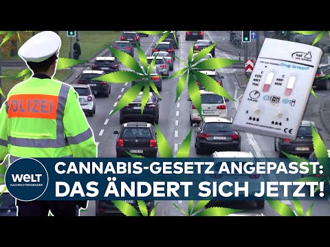 CANNABIS-GESETZ ANGEPASST: Neuer THC-Grenzwert im Straßenverkehr und Regeln für Social-Clubs