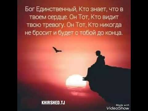 Reykl x iTeam Cash_Реп Ҳафта