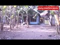 Gajah Lepas Masuk Kampung