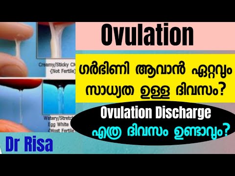 Ovulation Malayalam | How Many Days Ovulation Discharge Occur