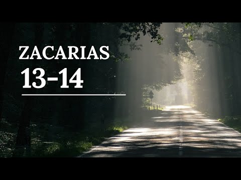 Zacarías 13 - 14