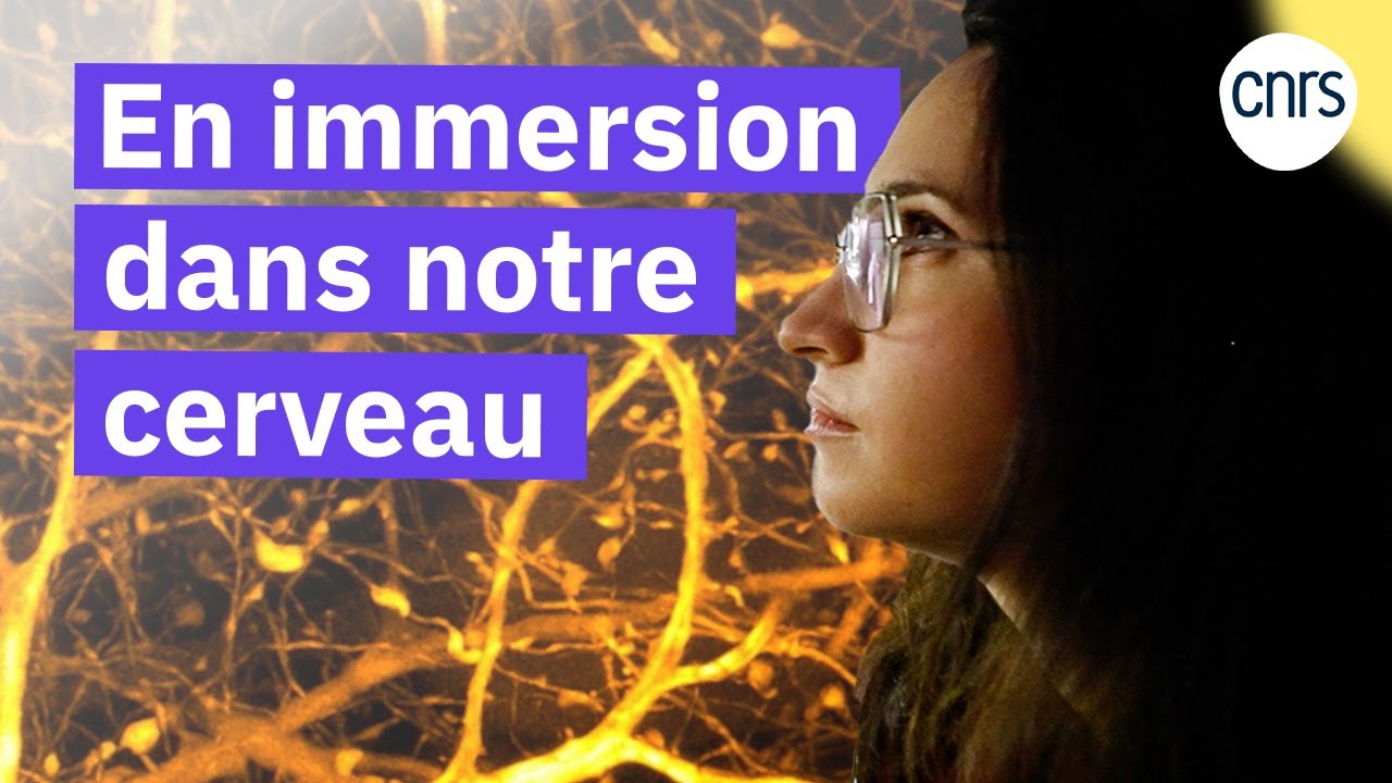 Notre cerveau en super résolution | Reportage CNRS - YouTube