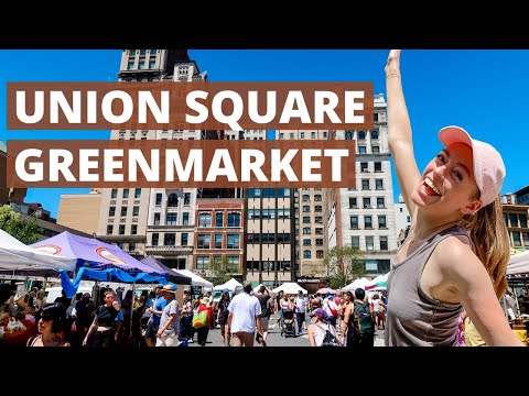 The Most Famous Farmers Market in NYC! | Exploring Union Square Greenmarket | Hava’s New York