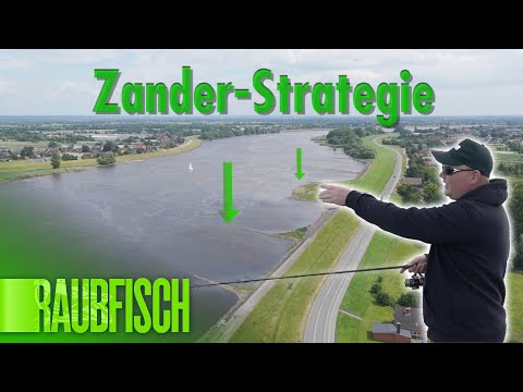 Zander strategies in the tidal Elbe: Correct jigging and wobbling in the river