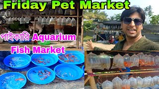 অঙ্কুরহাটিতে রঙিন মাছের হাট  | Aquarium Fish Price Ankurhati | Howrah Pet Market | Pet Market