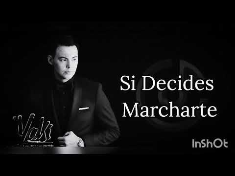 Si Decides Marcharte  Luis Alfonso Partida El Yaki ft Katia Vlogs (Letra)