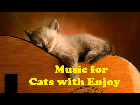 Cat Enjoy & Relaxing | Music for Cats with Enjoy | Natural Anxiety and Stress Relief