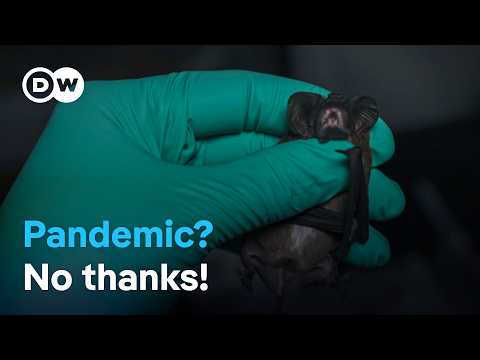 Tracking Pandemics: Detecting New Diseases Early