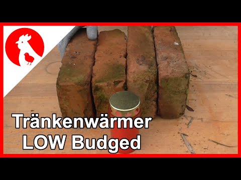 031 Low Budget Tränkenheizer ohne Strom - den kann wirklich jeder bauen! Jensman and the Huhns🐔