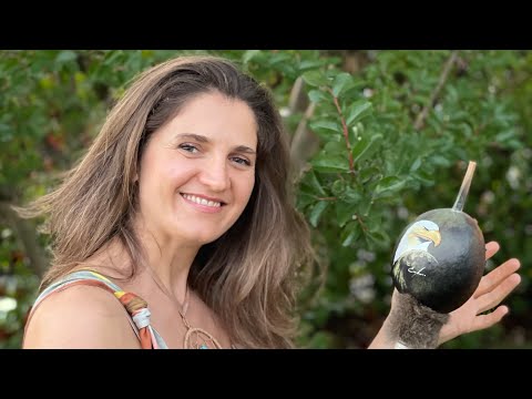 Meditazioni: Tu sei pura coscienza