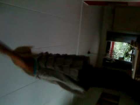 sophie dansar sexigt