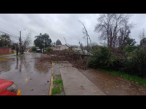 Sistema frontal deja árboles caídos, cortes de luz y daños en Talca y el Maule