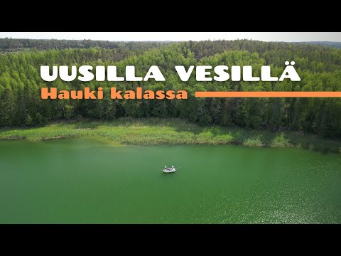 Kesä haukia [ Kesäistä hauen kalastusta merellä ]
