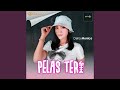 Pelas Teri