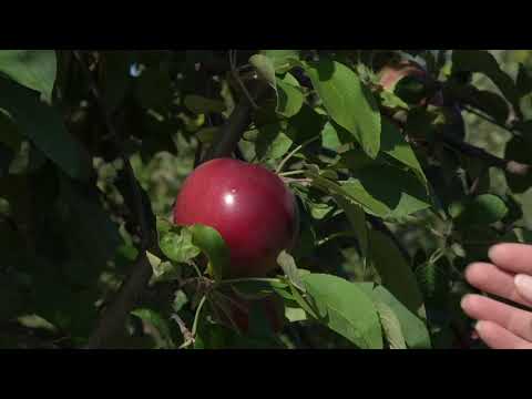 Visit North Central Massachusetts - Sholan Farms