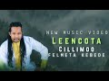 Felmeta Kebede LEENCOTA CILLIMOO New Ethiopian Afan Oromo Music Video 2025