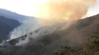 preview picture of video 'Incendio  boschivo dietro al  Monte Faudo  a  Montalto'