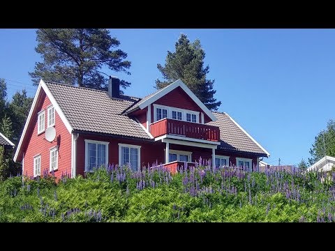 Hyperlapse 4 - Cycling Birkeland to Lillesand, Norway #cycling #norway