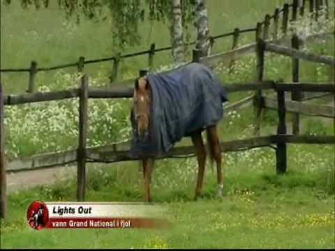 Svenskt Grand National 2009 -Preview