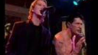 Van Dik Hout Herman Brood- Never be clever Plantage 1996