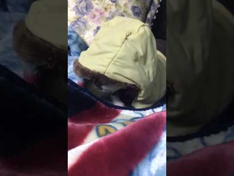 170127 Euijin - Twitter Video