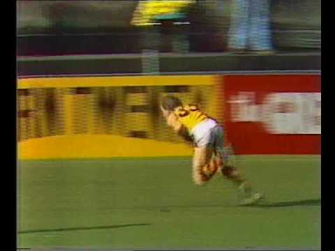 VFL R13 1983 - Sydney v Hawthorn