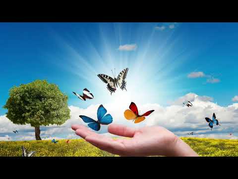 Negatív energiák oldása ,elengedés.