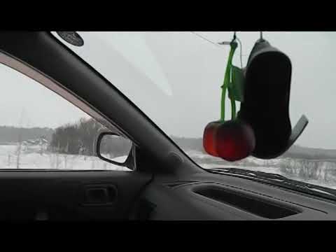 ноябрь, сибирь, поездка на пасеку