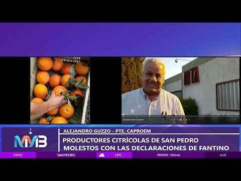Productores citrícolas de San Pedro enojados por las declaraciones de Alejandro Fantino