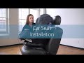 Pria All-in-One Installation: Forward Facing with Vehicle Belt + Tether | Maxi-Cosi