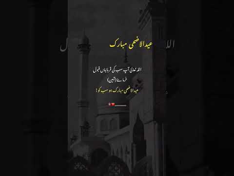 Eid Ul Azah Mubarak 🕋 #shorts #eidmubarak #eid #trending #youtubeshorts