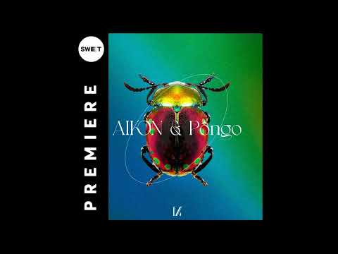 PREMIERE : Aikon & Pongo - Lost In You (Original Mix) [Multinotes]