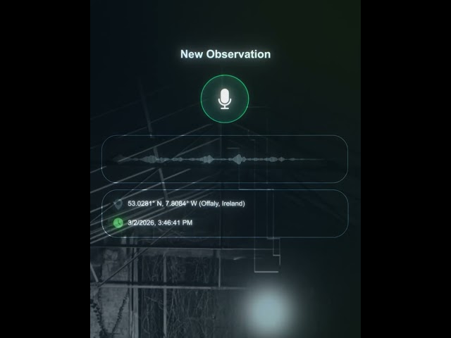 Judge.me YouTube video placeholder