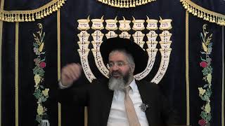 הניעור כל הלילה, והקם משנתו - ברכות השחר והתורה - מושב אשתאול כ"ו אב התשפ"ה