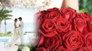 Vicente Fernandez - Estado Civil Amarte