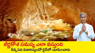 How to Cure Digestive System Issues | Betel Leaf Benefits | Dr Manthena Satyanarayana Raju Videos