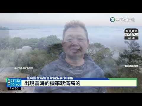 苗栗薑麻園絕美雲海! 雲霧繚繞奇景壯觀