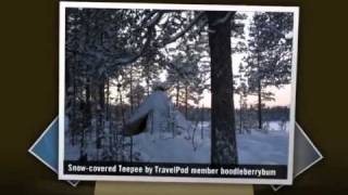 preview picture of video 'Igloo Village & Dog-sledding in Winter Wonderland Boodleberrybum's photos around Skabaum, Sweden'