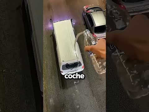 ¡Mojaba Todos Los Autos!