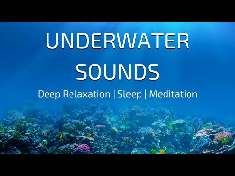 UNDERWATER SOUNDS Relaxation | DEEP SEA Soundscape | Underwater Ambience