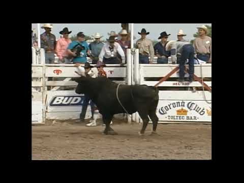 Wild Thing bucks Aaron Semas - 95 PBR Del Rio