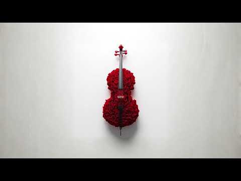 Caio Klin - All Of You