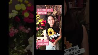 【上白石萌音③】上白石萌のスペイン語挨拶　英語もできて歌もできてスペイン語もできます。可愛いこりゃ朝ドラもNHKもいろいろ引っ張りだこですわい結婚したい佐藤健に取られたくない