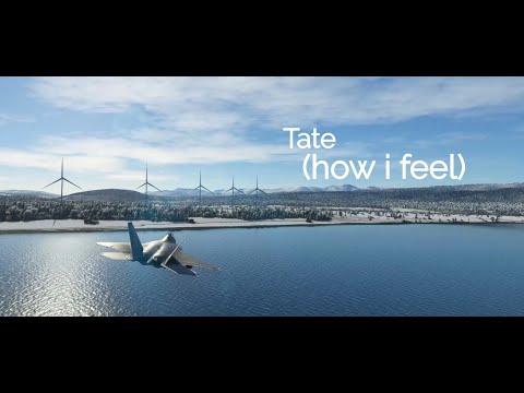 Flight Vibes - F-22 over Japan ft. Tate - (how i feel)