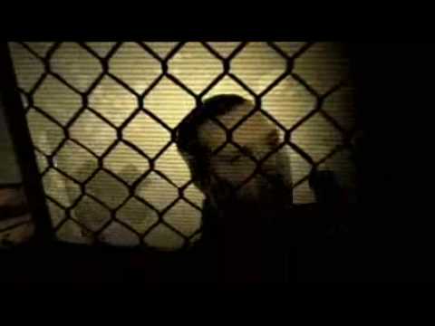 Fokus feat HST Już dawno nieKLIP