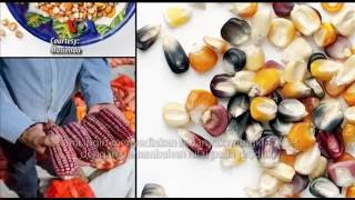 Download lagu Aplikasi Ponsel Jembatani Petani dengan Konsumen - Liputan Feature VOA mp3