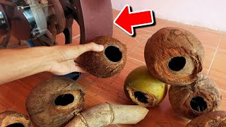 Ide kerajinan tangan kreatif yang luar biasa dari batok kelapa dan bambu//membuat pot bunga unik