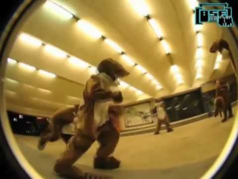 Thomster & FOOTWORKdeluxe (BSEcrew) - rabbit idiotiy... das original :-)